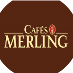 Logo Groupe Merling
