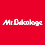 Logo Mr. Bricolage