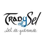 Logo Tradysel